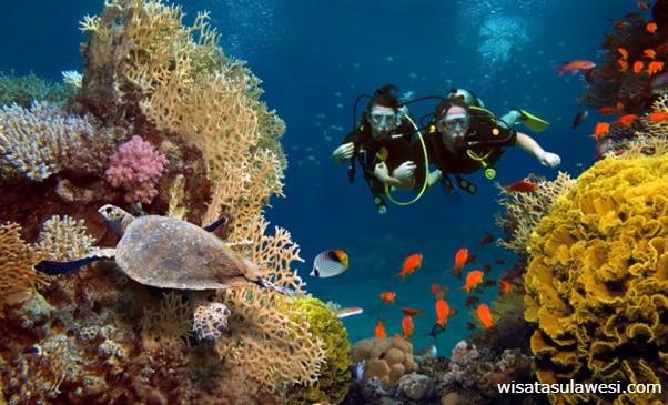 Titik Diving dan Snorkeling di Bunaken Terbaik